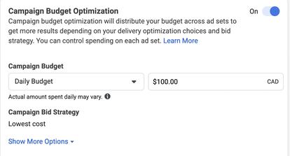 campaign budget optimization facebook