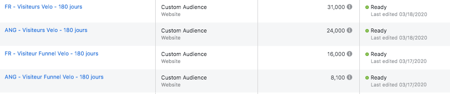 custom audience facebook