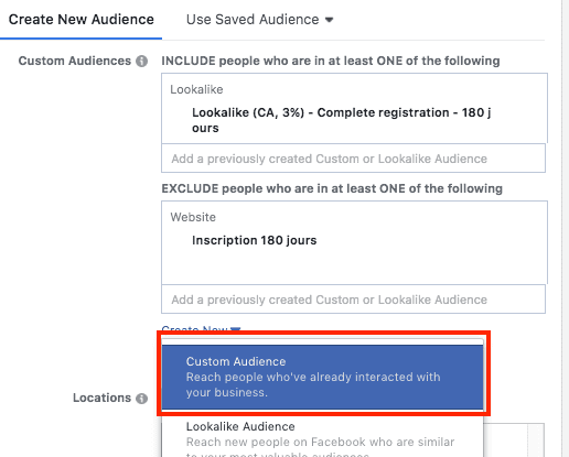 custom audience