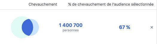 facebook chevauchement audience