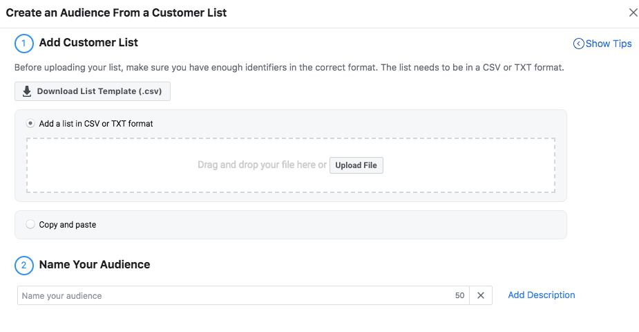 custom audience facebook