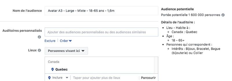 audience facebook