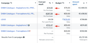 budget meta ads