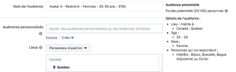 audience facebook ads