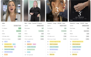 exemple analyse micro facebook ads