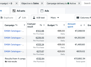 problème budget facebook ads