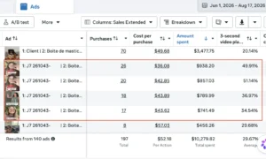 résultat meta ads persona