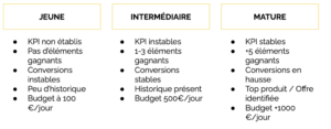 stade de maturité facebook ads